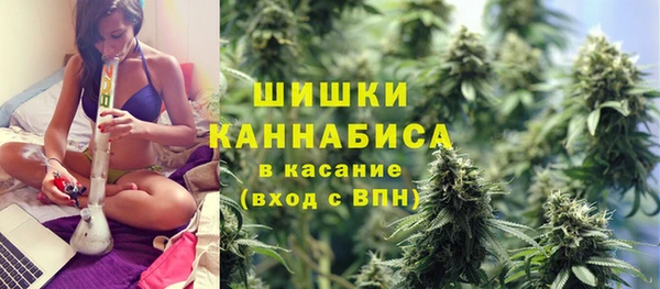 гашик Аркадак