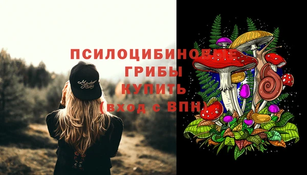 эйфоретик Арсеньев