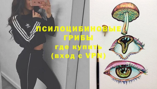 гашик Аркадак